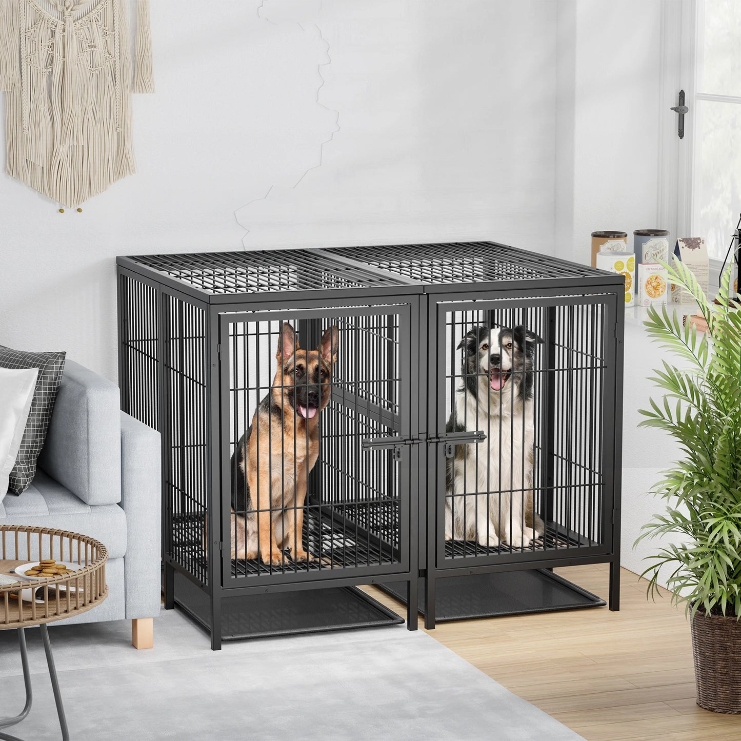 Borwarth Heavy Duty Dog Crate With Removable Divider Panel