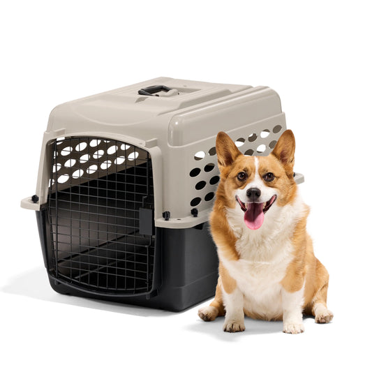 Hign-concerned Plastic Dog Kennel Airline Approved Portable Carrier