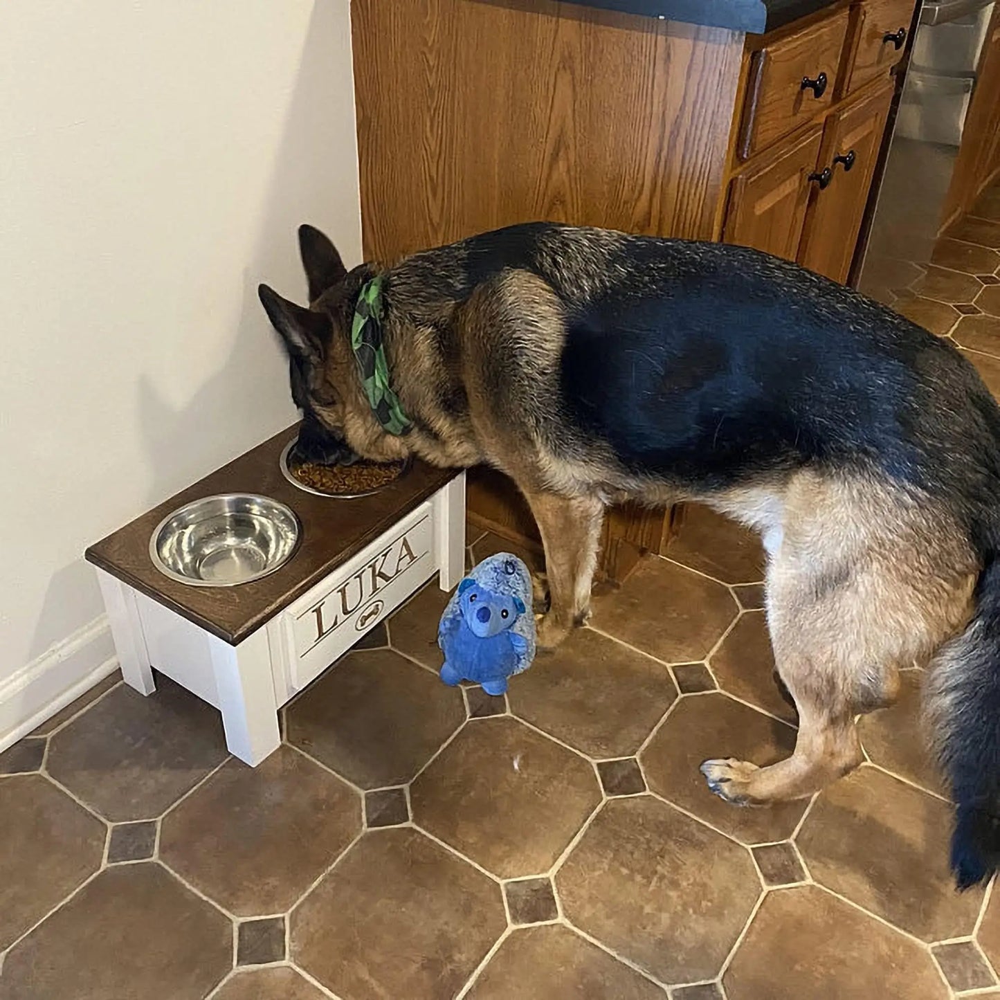 Raised Dog Bowl Stand With Internal Storage And Stainless Bowls