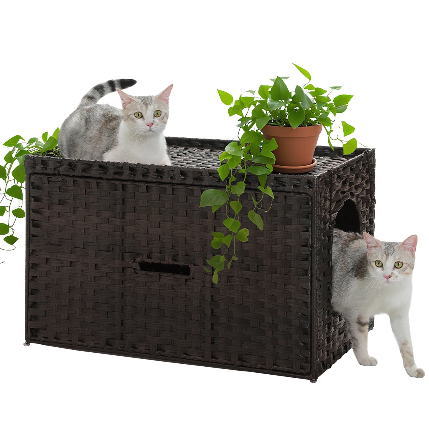 PAWZ Road Rattan Cat Litter Box Enclosure With Door