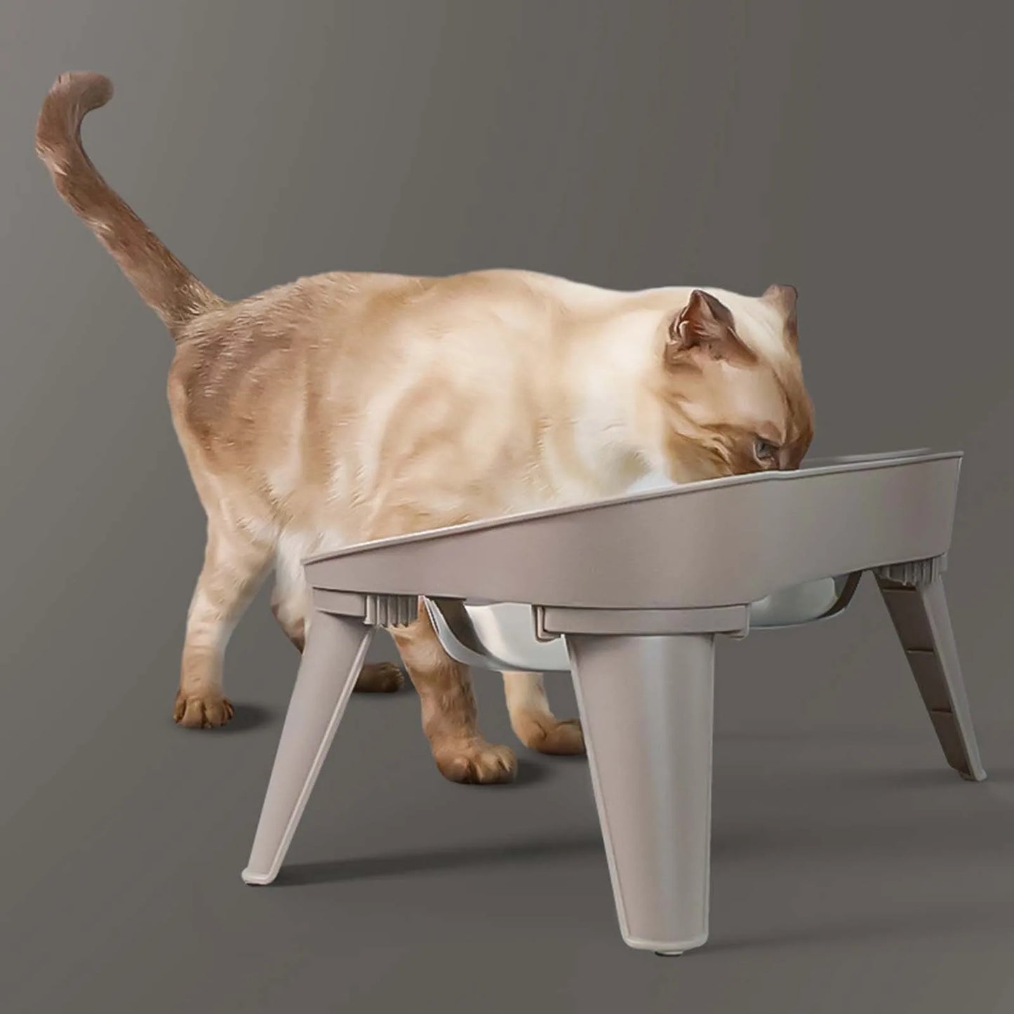 Stainless Steel Elevated Pet Bowl For Dogs And Cats