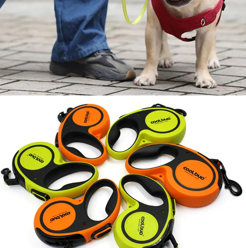 Guangdong Automatic Retractable Dog Leash Nylon Large And Medium Dogs