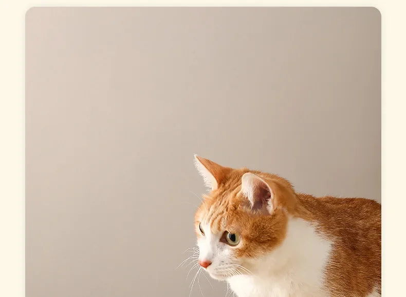 Ceramic Slow Feeder Pet Bowl for Dogs and Cats Universal