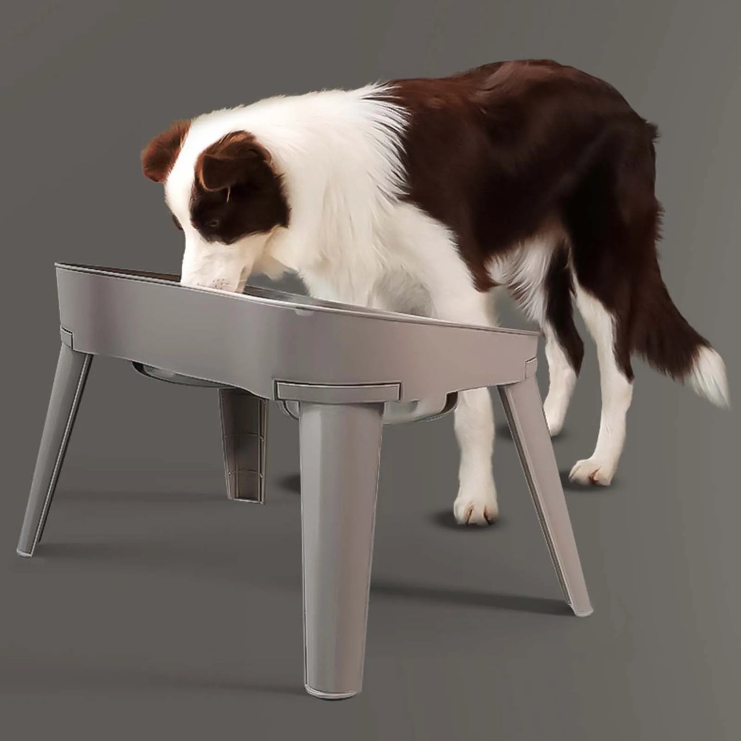 Stainless Steel Elevated Pet Bowl For Dogs And Cats