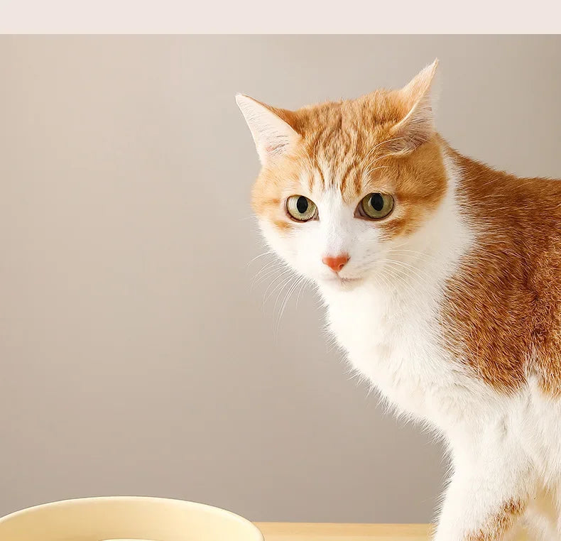 Ceramic Slow Feeder Pet Bowl for Dogs and Cats Universal