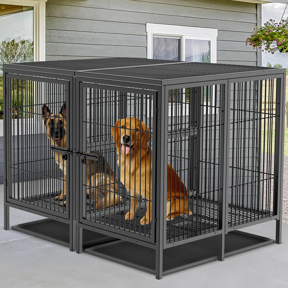 Borwarth Heavy Duty Dog Crate With Removable Divider Panel