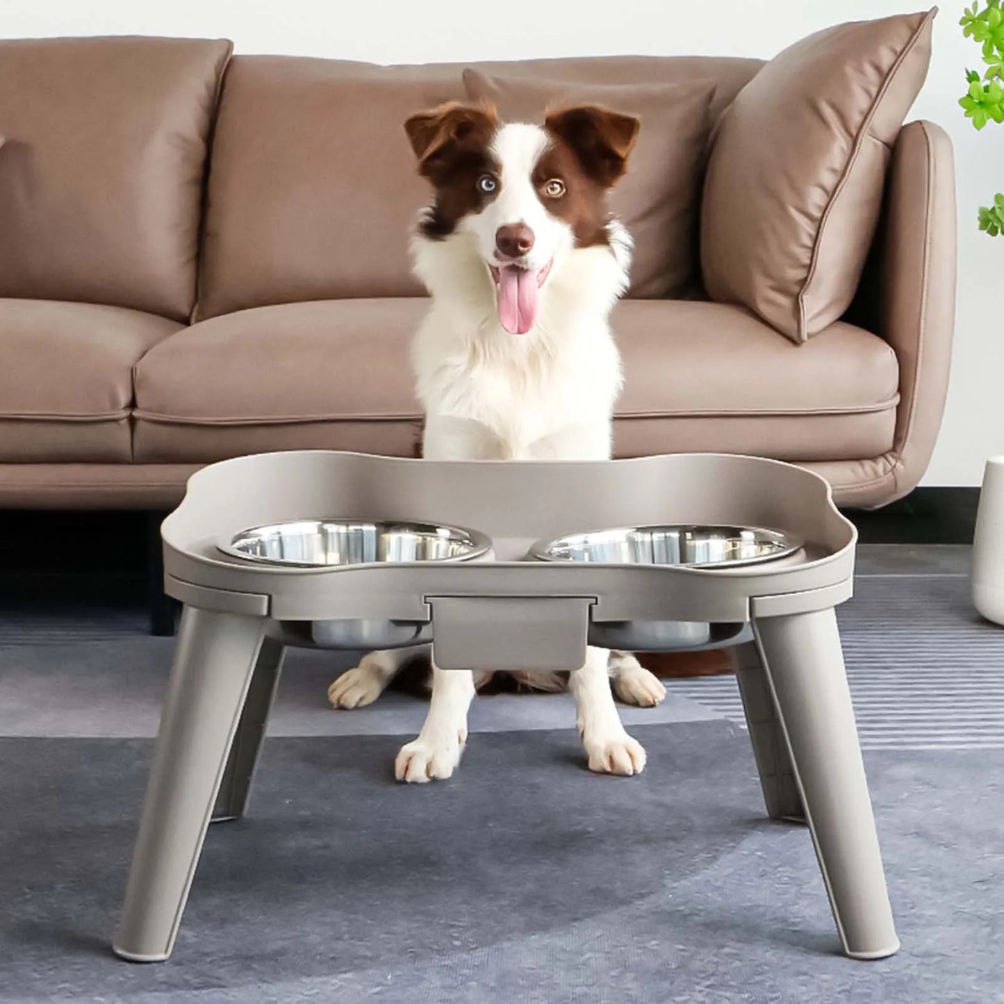 Stainless Steel Elevated Pet Bowl For Dogs And Cats