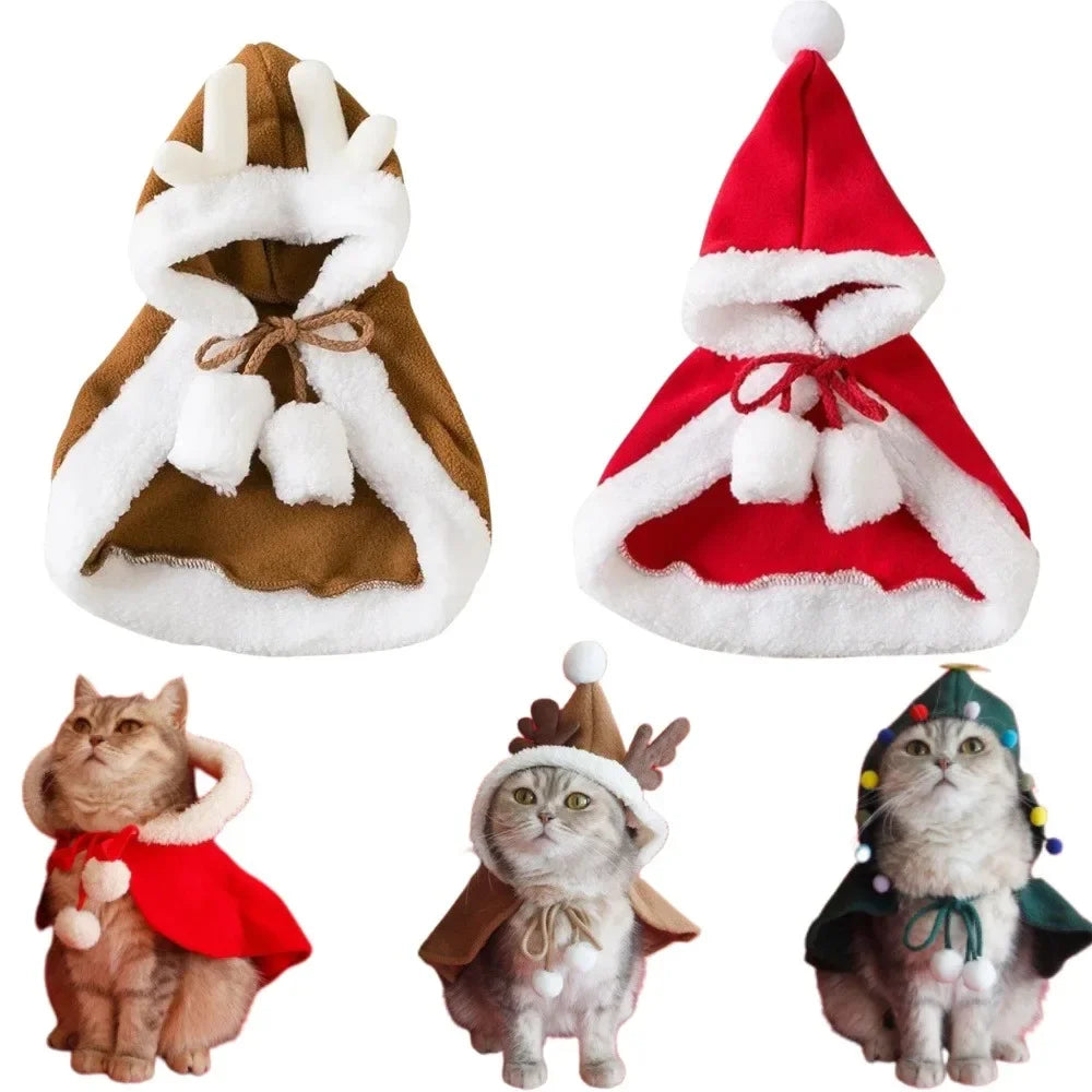 High Concerned Chemical Cat Santa Christmas Costume Cape Hat Set