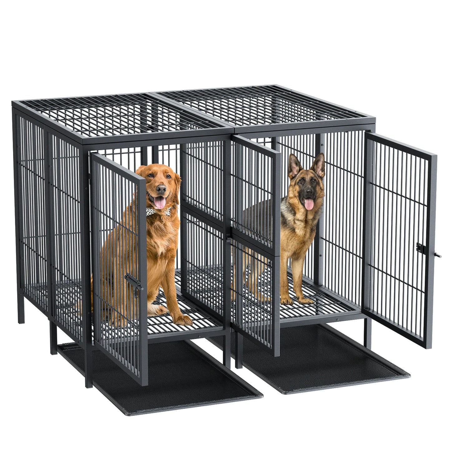 Borwarth Heavy Duty Dog Crate With Removable Divider Panel