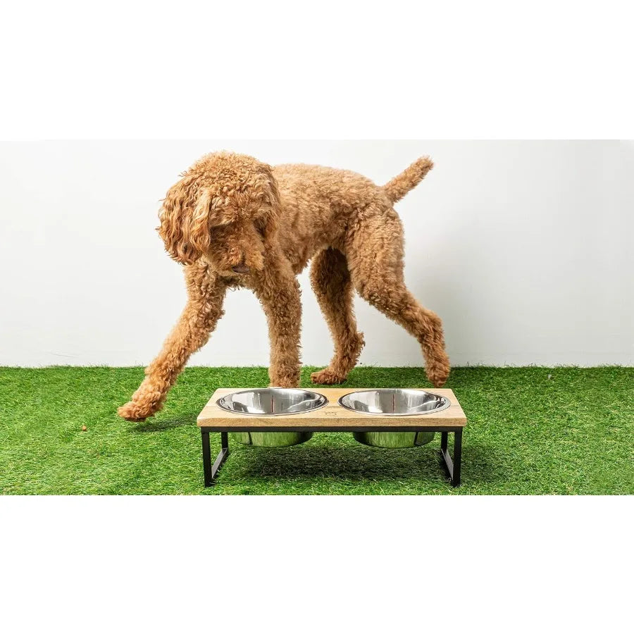 High Concerned Elevated Pet Feeder With 2 Stainless Steel Bowls