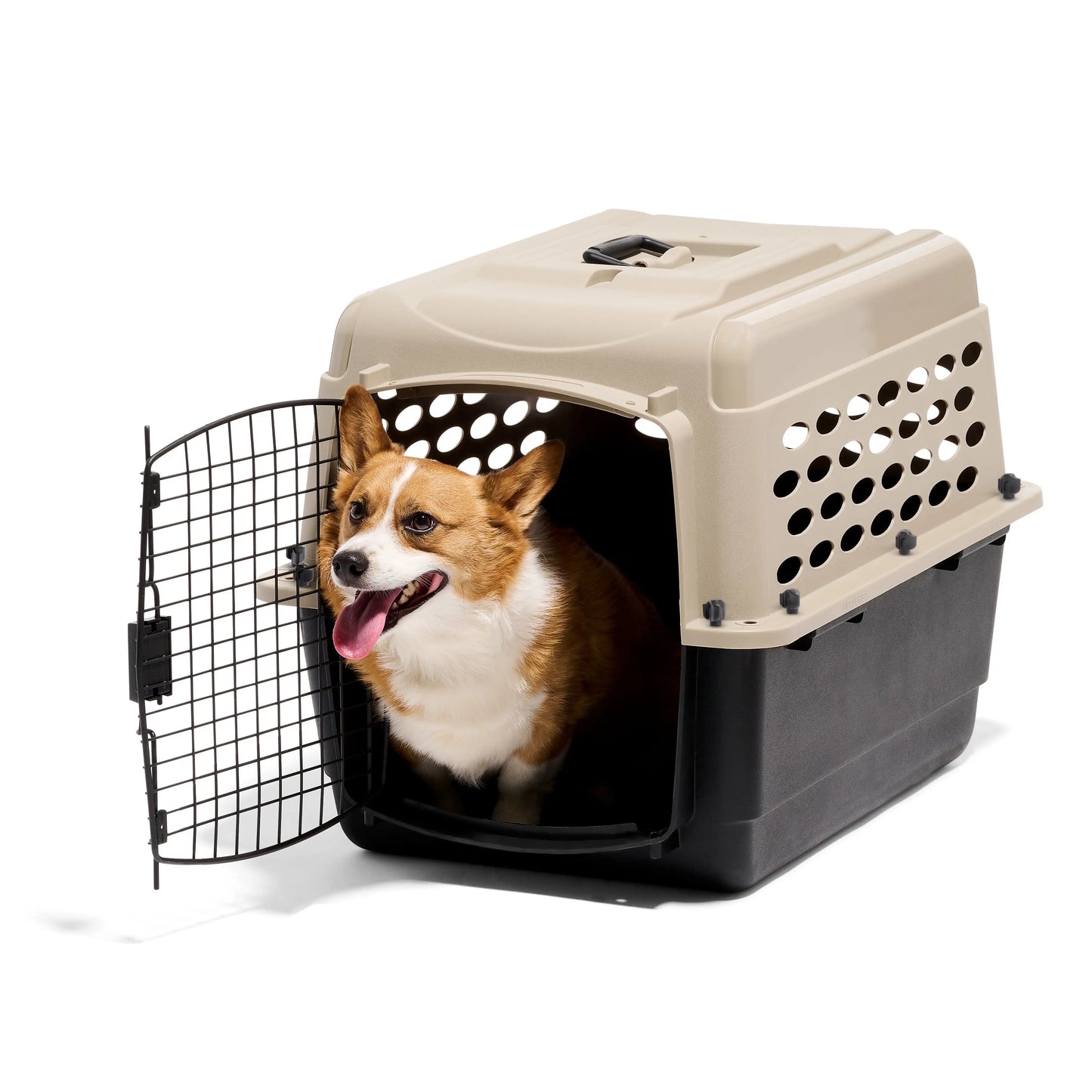 Hign-concerned Plastic Dog Kennel Airline Approved Portable Carrier