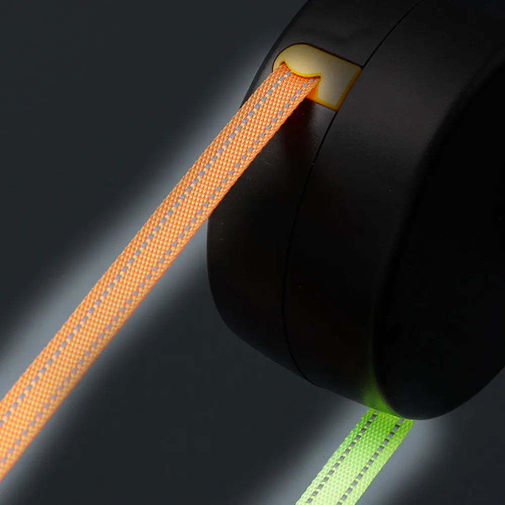 Alloet Double Headed Retractable Pet Leash for Dogs